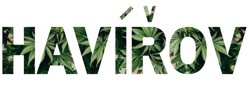 hhc havirov 